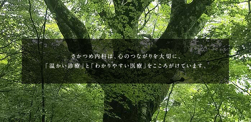 メインイメージ1