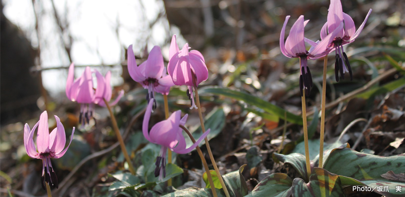 メインイメージ5