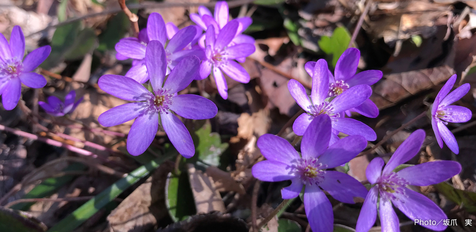 メインイメージ6