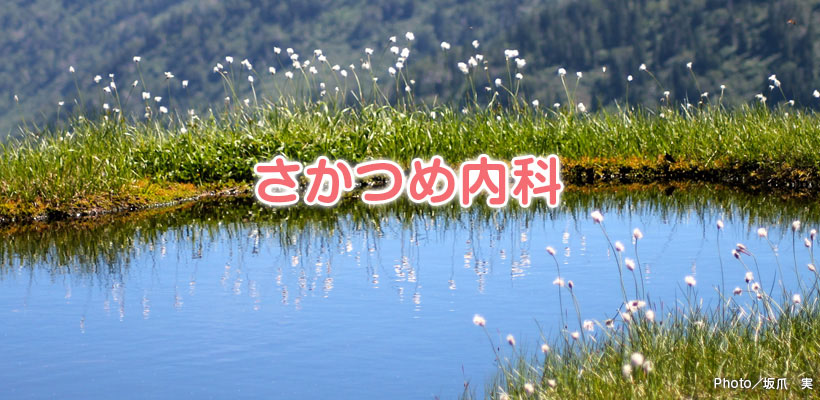 メインイメージ4